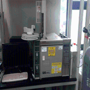 GC-ECD HP 5890 series2 이미지