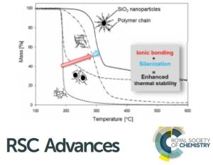 Thermal Stability, Swelling Behavior and CO2 Absorption Properties of Nanoscale Ionic Materials (NIMs)