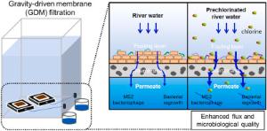 Can prechlorination improve the permeate flux and water quality of gravity-driven membrane (GDM) filtration?