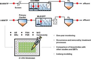 In vitro bioanalytical assessment of the occurrence and removal of bioactive chemicals in municipal wastewater treatment plants in Korea