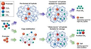 Investigating Two Synthetic Routes for Gas Hydrate Formation to Control the Trapping of Methane from Natural Gas