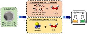 Integrated recovery of copper and gold from end-of-life LEDs using two-step leaching process with volatile fatty acids