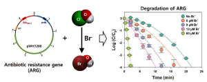 Effect of bromide on the degradation kinetics of antibiotic resistance genes during water chlorination