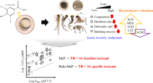 Acute toxicity assessment and QSAR modeling of zebrafish embryos exposed to methyl paraben and its halogenated byproducts